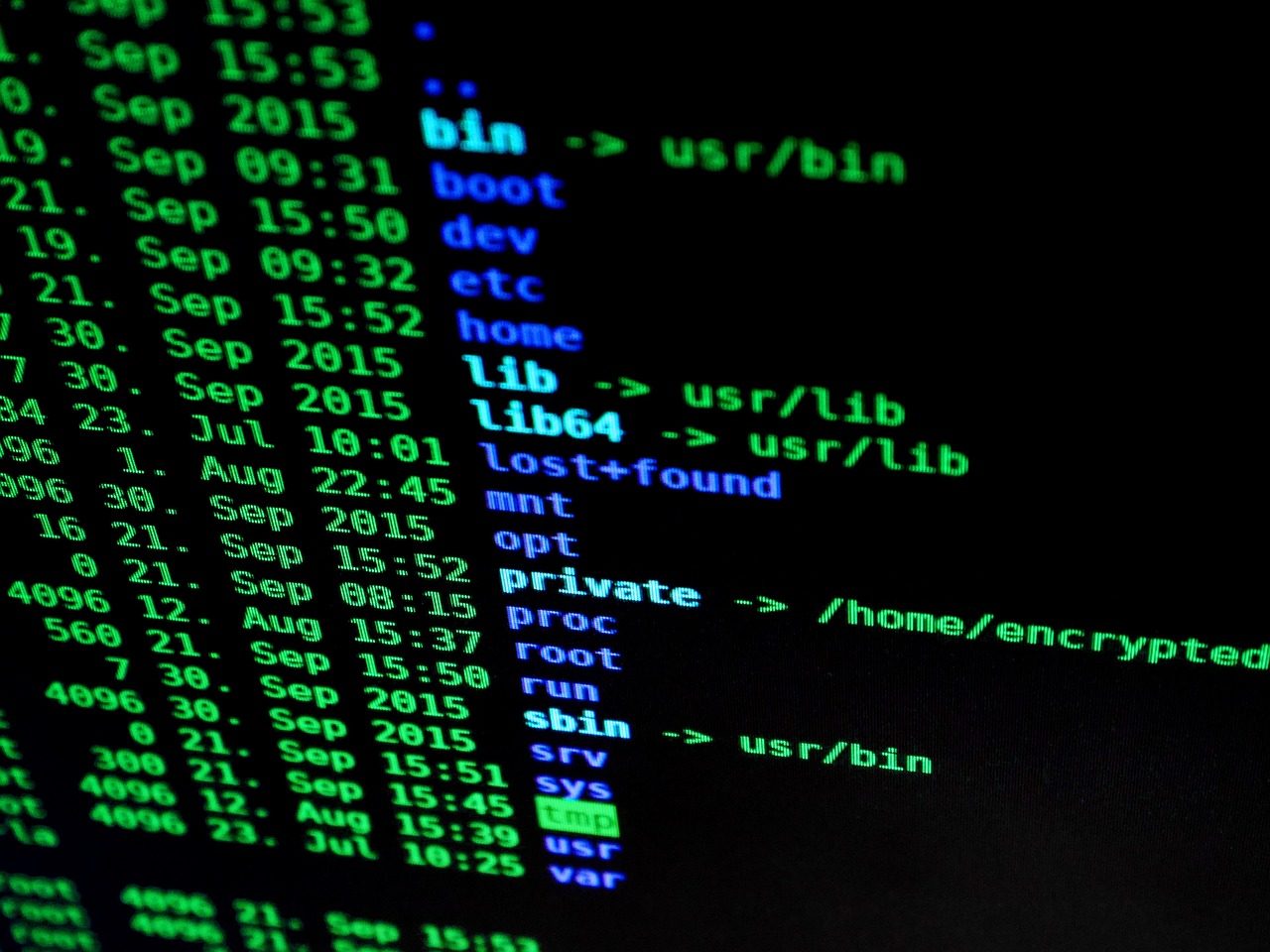 A Linux terminal showing the root filesystem hierarchy (bin, boot, etc, home, usr)